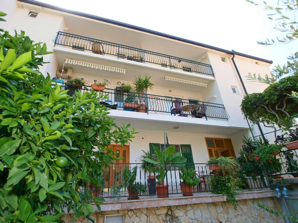 Apartmani Danica Gradac  Εξωτερικό φωτογραφία